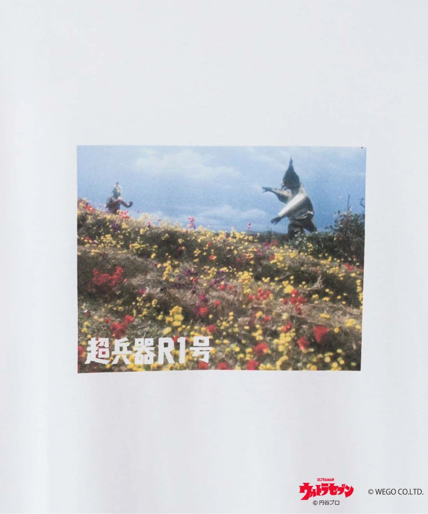 Product image 69
